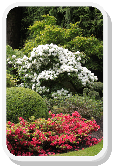 Butchart Gardens