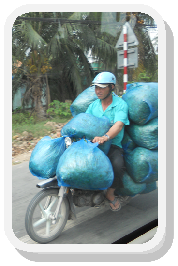 Scooter in Vietnam