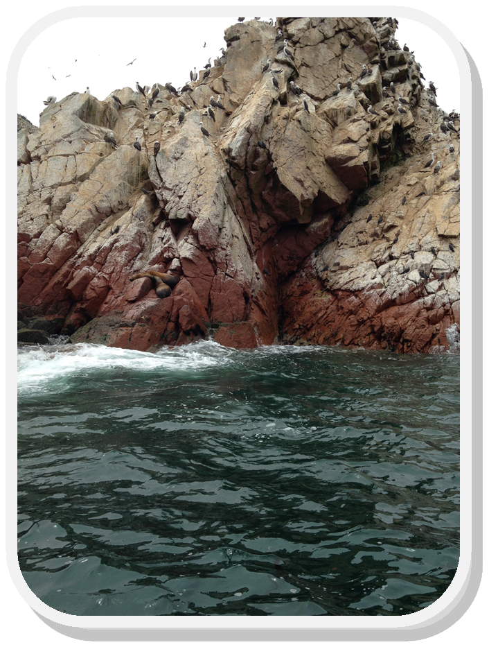 Ballestas Islands